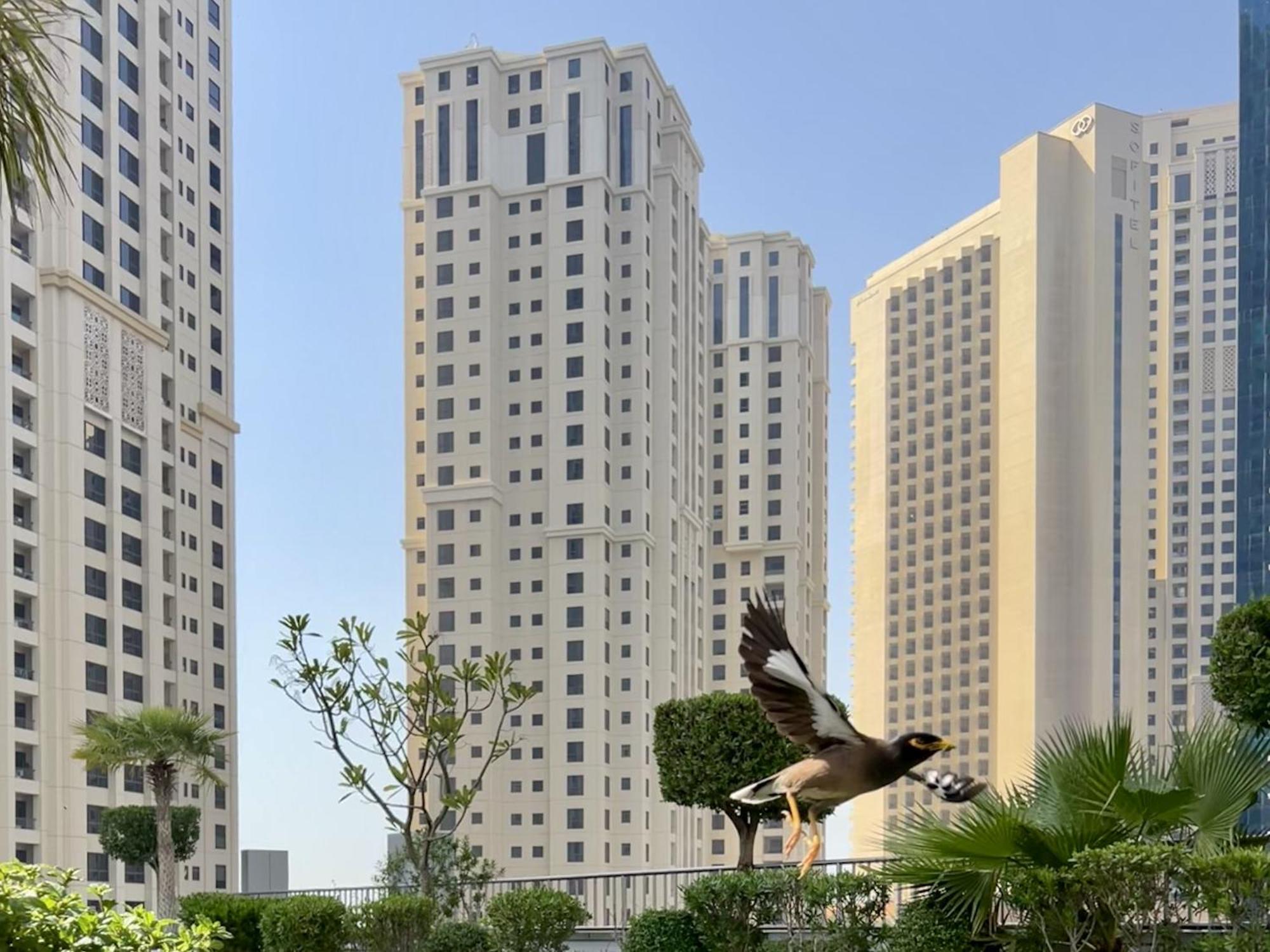 Favdubai Presents Cozy 2br Just A Few Steps To Jbr & Bla Bla With Amazing Marina Yachts View, Pool & Gym & Parking Housekeeping Service Upon Request Enjoy The Part Of Apartment Dubai